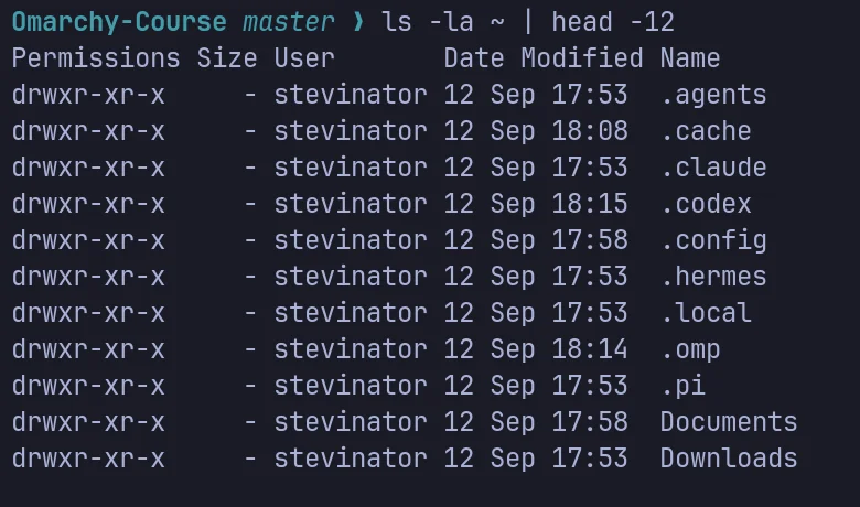 A real terminal listing showing dotfiles: .agents, .cache, .claude, .codex, .config, .hermes, .local, .omp, .pi, alongside regular folders like Documents and Downloads