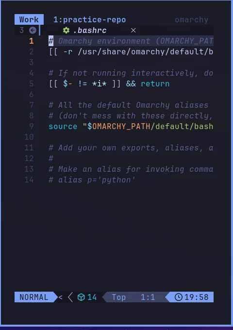A real config file open in Neovim — here .bashrc, showing syntax-highlighted comments and an Omarchy environment source line
