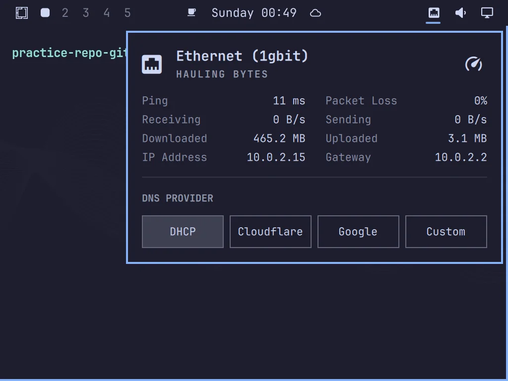 The real Omarchy network panel, showing a live Ethernet connection with ping, download/upload totals, IP address, gateway, and DNS provider options